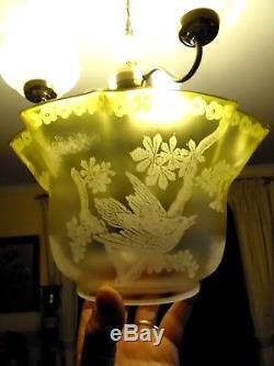 A Rare Victorian Acid Etch Bird And Moth Lemon Oil Lamp Shade