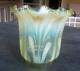 Antique Art Nouveau Vaseline Glass Tulip Oil Lamp Shade