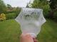 Antique Crystal Etched Glass Oil Lamp Electric Light Shade