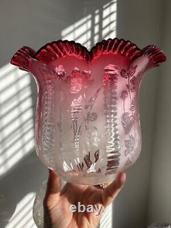 Antique cranberry crimped wavy top acid etched oil lamp shade