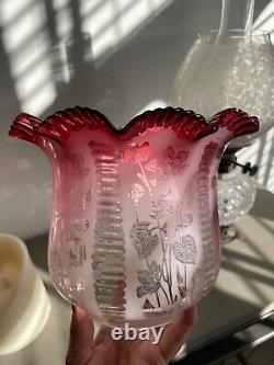 Antique cranberry crimped wavy top acid etched oil lamp shade