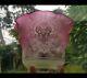 Original Victorian Cranberry glass tulip crystal etched floral oil lamp shade 4