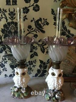 Pair of Superb antique owl oil lamps