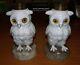 Rare Pair Victorian OWL Oil Lamp Bases Ernst Bohne & Sohne Rudolstadt Germany
