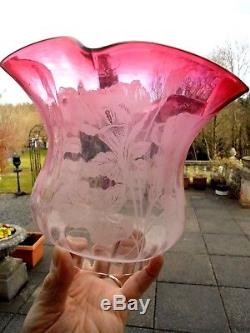 Superb Quality Cranberry Lily Etched Victorian Oil Lamp Shade