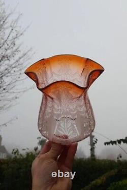 THREE Gorgeous Victorian Amber Peach Oil Lamp Shades, 2½ Inch Fitter