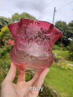 Victorian Cranberry Glass Acid Etched Oil Lamp Shade Floral 4 Fitter Swags